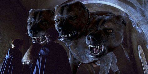 cartoonhd harry potter and the sorcerer's stone|Fluffy the Dog .